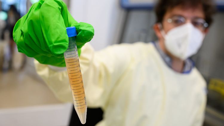 Aus der Menge der gefundenen Bakterien und Viren im Abwasser können Rückschlüsse zum Beispiel auf die Häufigkeit von Corona-Infektionen gezogen werden.