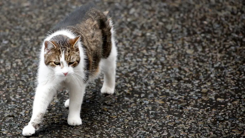 8749efdb2a92b07a747ecfd4d27e491d