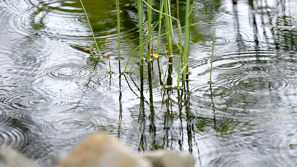Kleinkind-faellt-in-Gartenteich