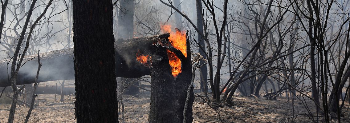 2022-07-19T114722Z_1166017372_RC2YEV94HTW2_RTRMADP_3_EUROPE-WEATHER-FRANCE-WILDFIRES.JPG