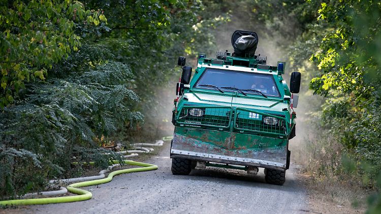 Das Löschen des Feuers im Grunewald gestaltet sich für die Feuerwehr weiterhin als "sehr aufwendig und kompliziert".