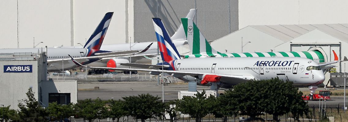 305844332.jpg