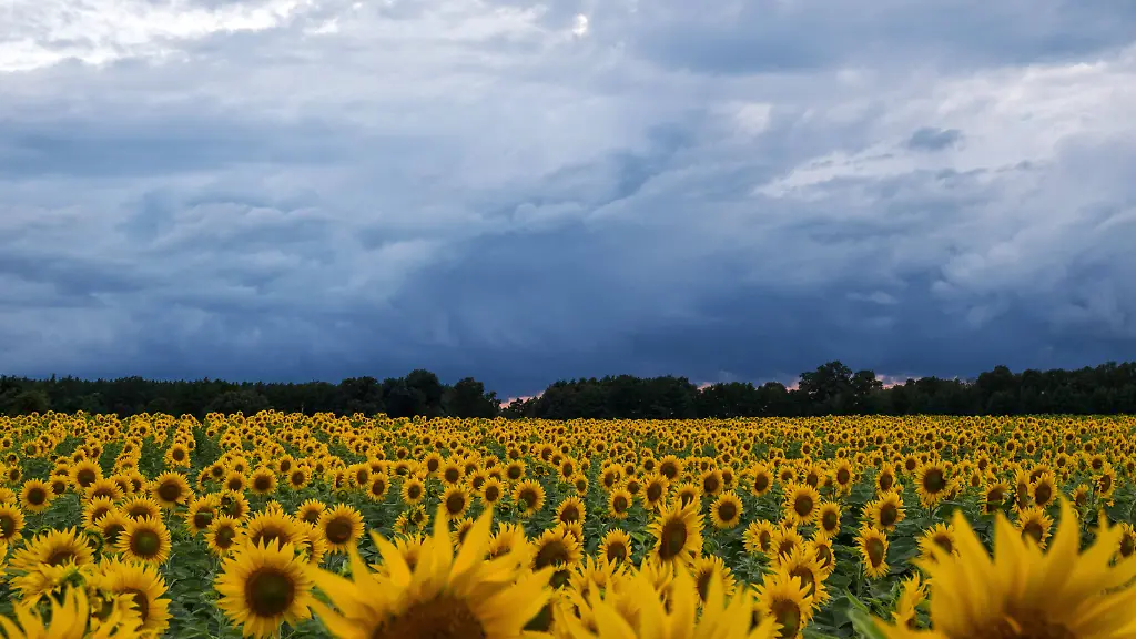 45aaf6befd87c2b3a45a44d326d54267