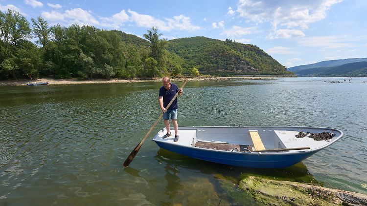 Opernsänger und Winzer Friedrich Bastian rudert mit dem Nachen zu seiner Insel Heyles'en Werth.