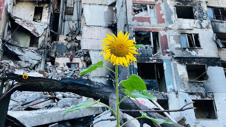 "Jeder Terrorakt Russlands macht die Ukrainer noch entschlossener", sagt Marcus Faber, der dieses Bild machte.