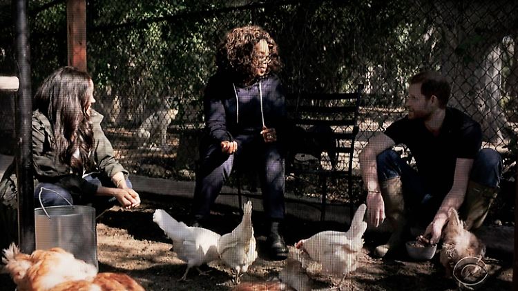 Auch beim Interview mit Oprah Winfrey spielten die Hühner eine Rolle.