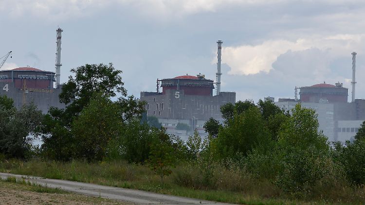 Mit sechs Blöcken und einer Leistung von 6000 Megawatt ist das Werk in der Stadt Enerhodar in der Oblast Saporischschja das größte Atomkraftwerk Europas.