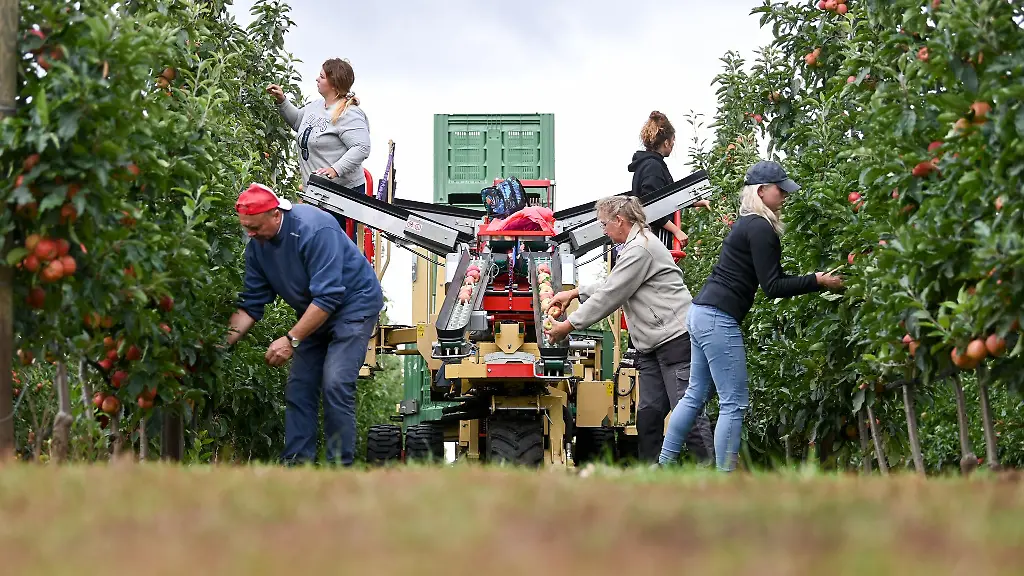 Agrargenossenschaften-bewirtschafteten-im-vergangenen-Jahr-27-Prozent-der-Landwirtschaftsflaeche-in-Sachsen-Anhalt