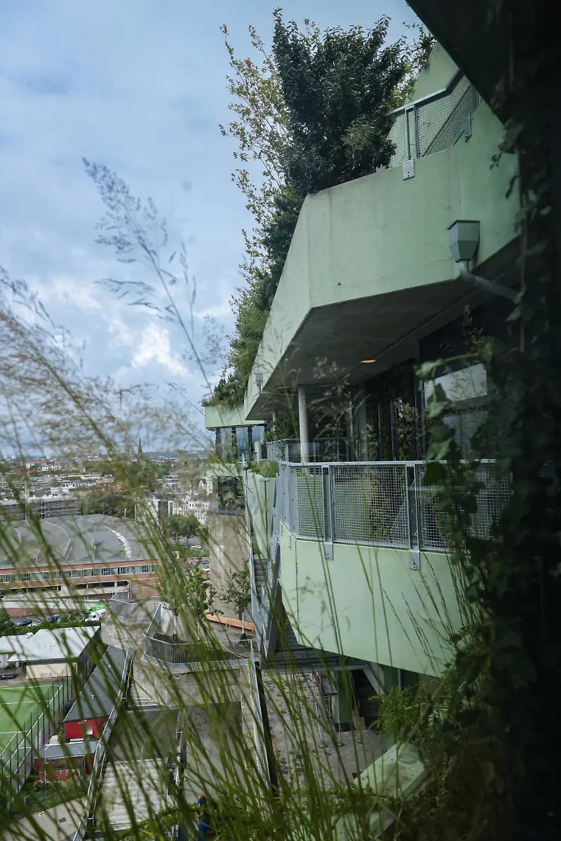 8609ba422b8f849a71ed8f827e3b400a