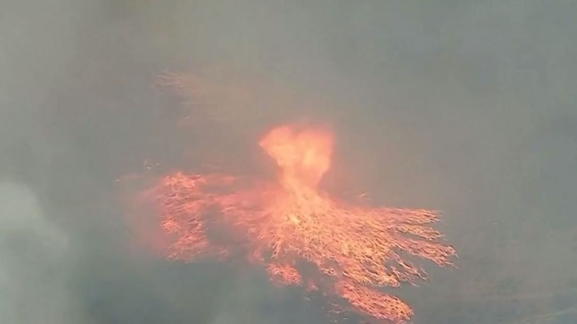 feuer.JPG
