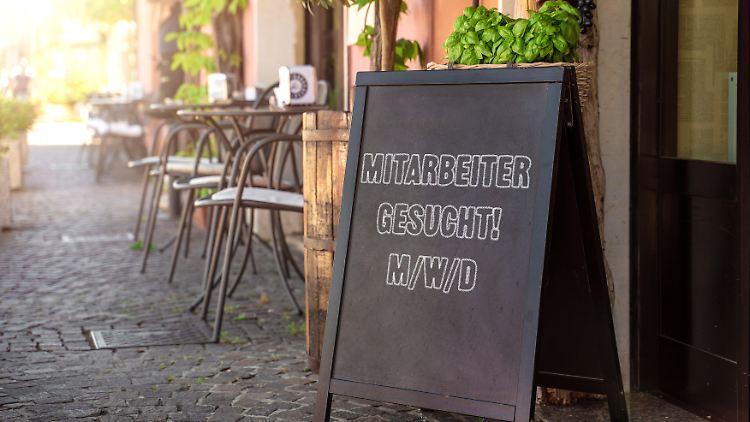 In vielen Bereichen wird Verstärkung gesucht.