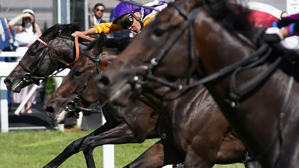 Auf-der-Galopp-Rennbahn-in-Hamburg-Horn-fand-der-dritte-Renntag-statt