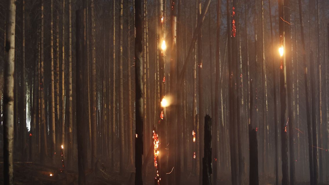 Bild aus der Nacht vom Brand im Harz.