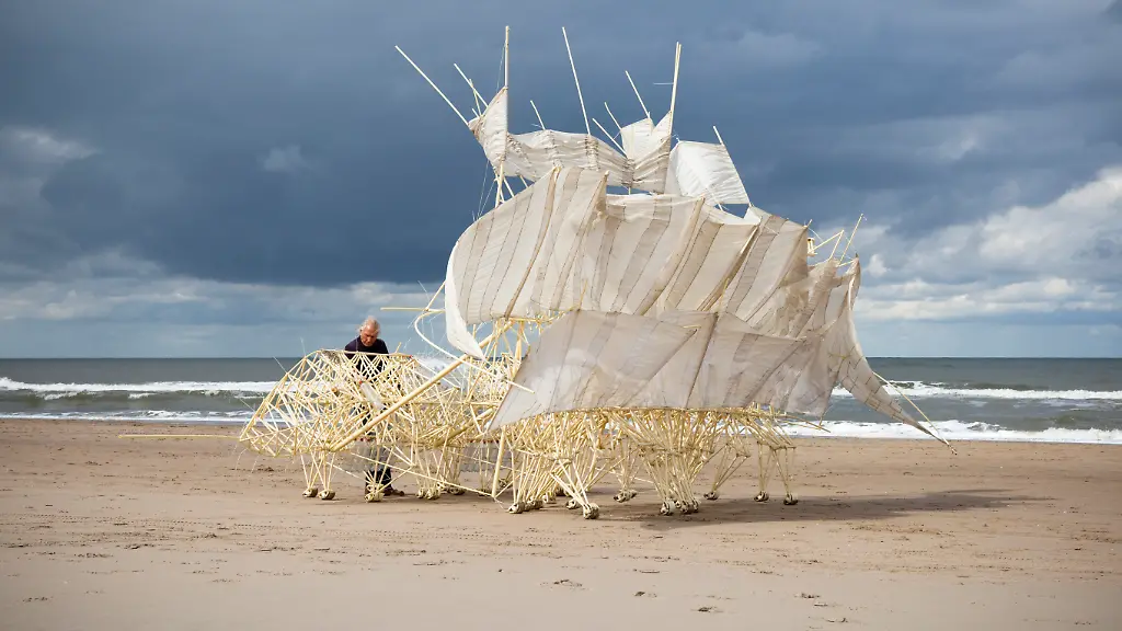 Theo-Jansen-Plaudens-Vela-silent-beach-2013-Photo-by-Marco-Zwinkels