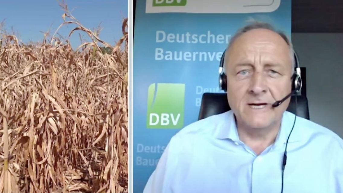 dürre.jpg
