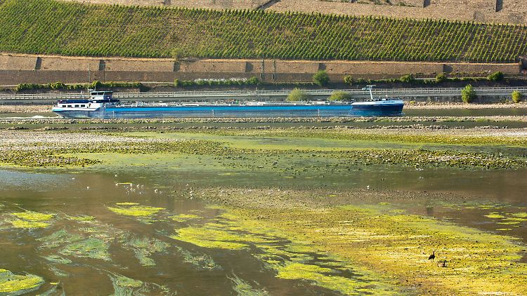 Wie hier bei Bingen treten Teile des Flussbetts zutage, Frachtschiffe können nur noch vorsichtig vorbeifahren.