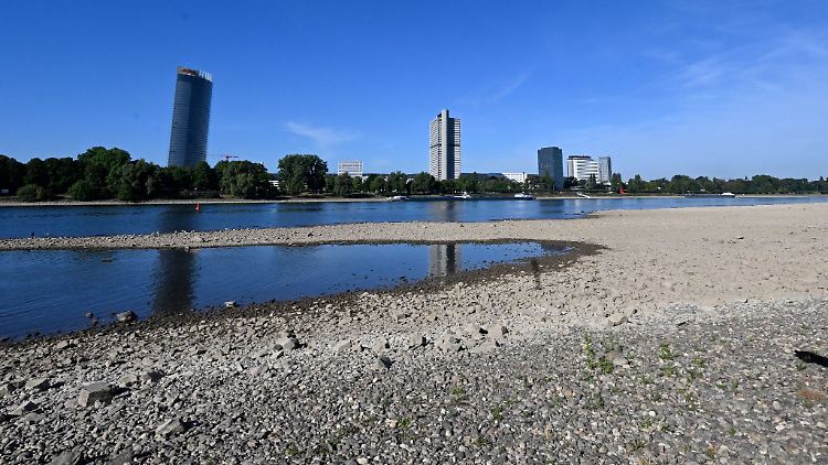 Der Rhein hat derzeit sehr wenig Wasser - nicht nur in Bonn.