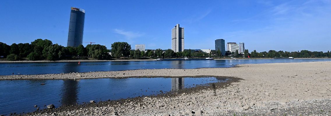Der Rhein hat derzeit wenig Wasser - so wie hier in Bonn.