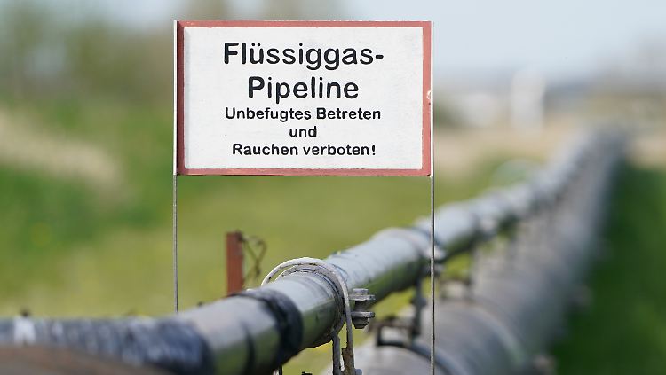 Bundeswirtschaftsminister Robert Habeck will so schnell wie möglich russisches Pipelinegas durch Flüssiggas ersetzen.