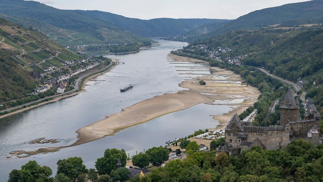 Der Rhein bei Bacharach (Rheinland-Pfalz).