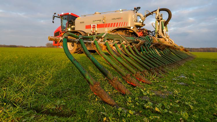 Rund 2,5 Millionen bis 3 Millionen Tonnen reiner Stickstoff werden jährlich auf Deutschlands Feldern ausgebracht, die Hälfte davon stammt aus Kunstdünger.
