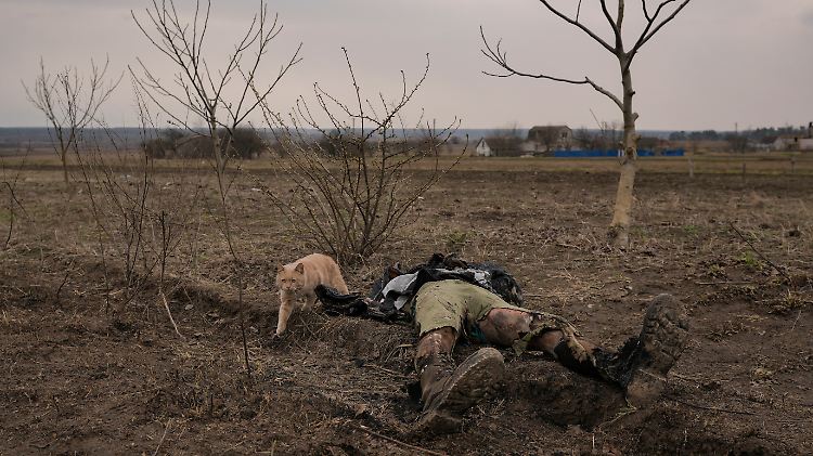 Das Foto zeigt die Leiche eines getöteten 20-Jährigen in Andrijiwka. In dem Dorf unweit von Kiew wurden während russischer Besatzung mindestens 13 Zivilisten ermordet. 