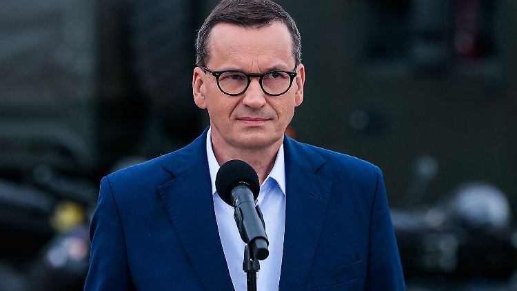 Regierungschef Mateusz Morawiecki soll erst am 9. oder 10. August vom Fischsterben in der Oder erfahren haben - also rund zwei Wochen nachdem bereits zahlreiche tote Fische aus dem Wasser gesammelt wurden. 