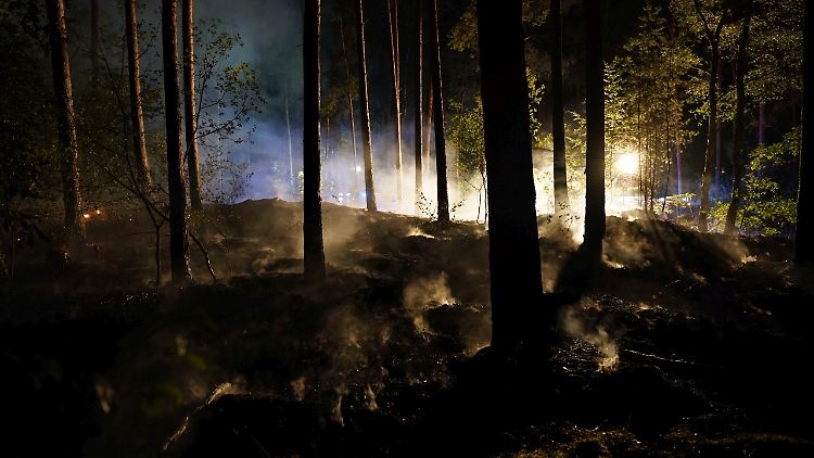 Am Wochenende hält ein Waldbrand im Landkreis Lüneburg die Feuerwehr auf Trab. 
