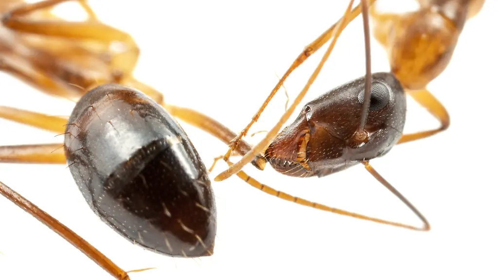 Nicht-weiterverwenden