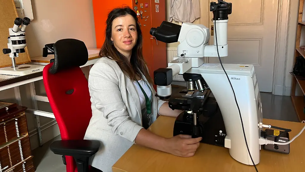 c0a9efb9aa215ddc4a2060ad7be395c7