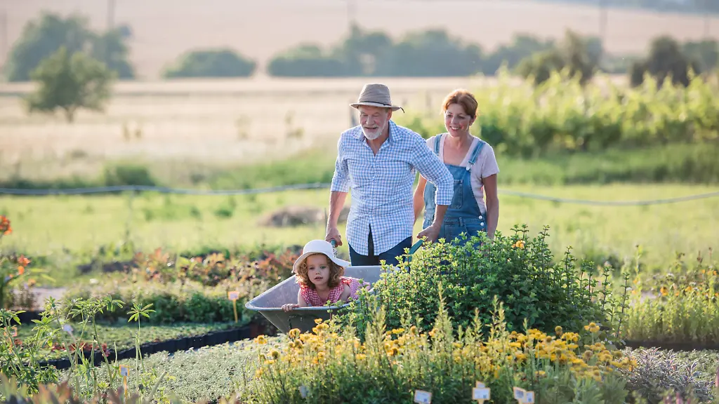 f8d68eebd135cc8ed0aad917e7670783