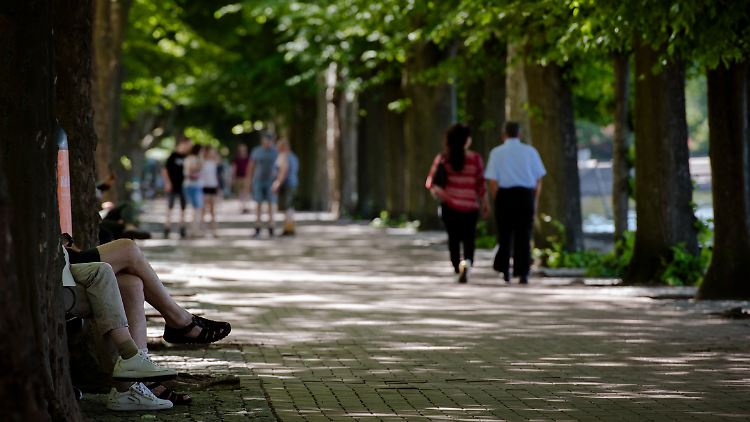 Schattige Plätze bieten Schutz vor den heißen Temperaturen.