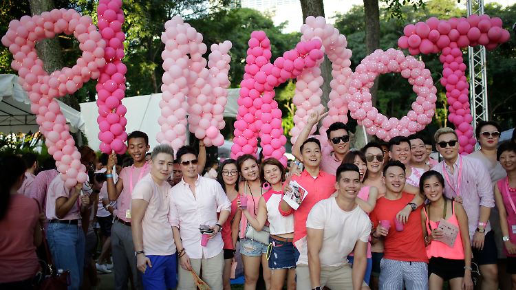 Bereits seit Jahren setzen sich auf dem jährlich stattfinden "Pink Dot"-Event Tausende Menschen in Singapur für die LGBT-Community ein.