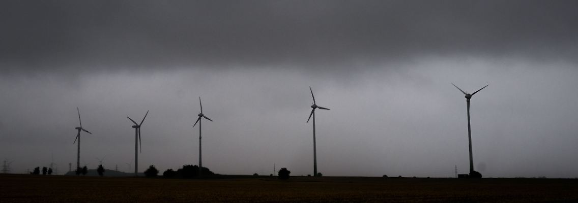 309028760.jpg