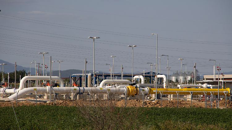 309066239.jpg