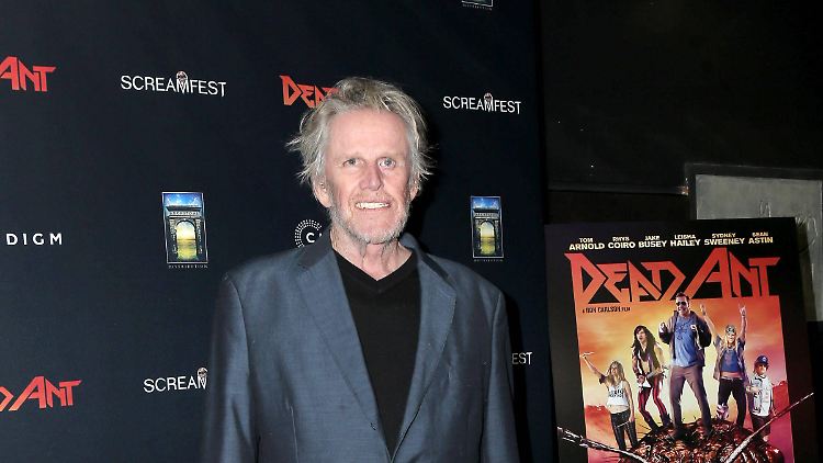 Beteuert seine Unschuld: Gary Busey.