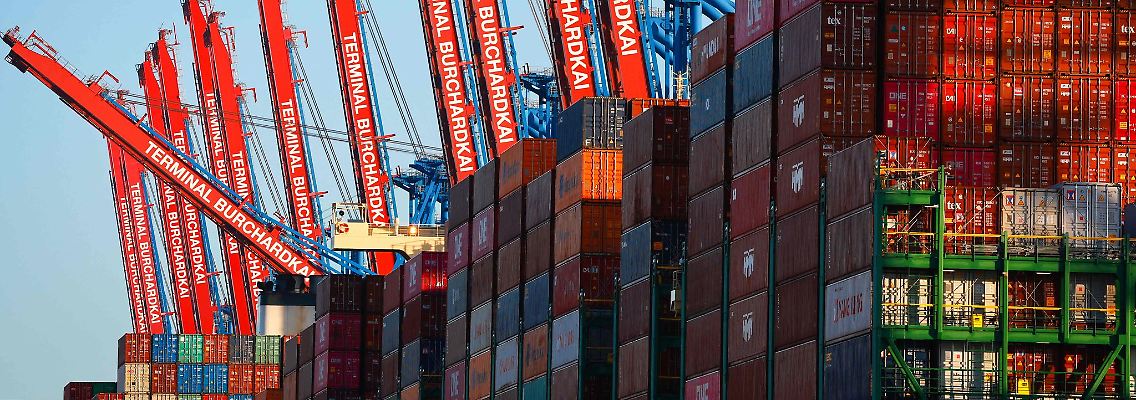 Containerschiffe liegen im Waltershofer Hafen am Container Terminal Burchardkai der HHLA (Hamburger Hafen und Logistik AG).