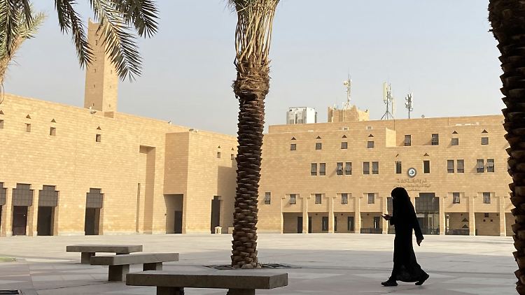 "Ich lehne Ungerechtigkeit ab und unterstütze die Unterdrückten." Nach Einschätzung der saudischen Staatsanwaltschaft brachte eine junge Frau mit diesem Tweet die "gesellschaftliche und staatliche Sicherheit" ins Wanken.