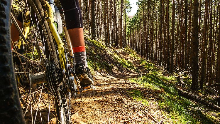 Im Radsport kommt es immer wieder zu tödlichen Unglücken.