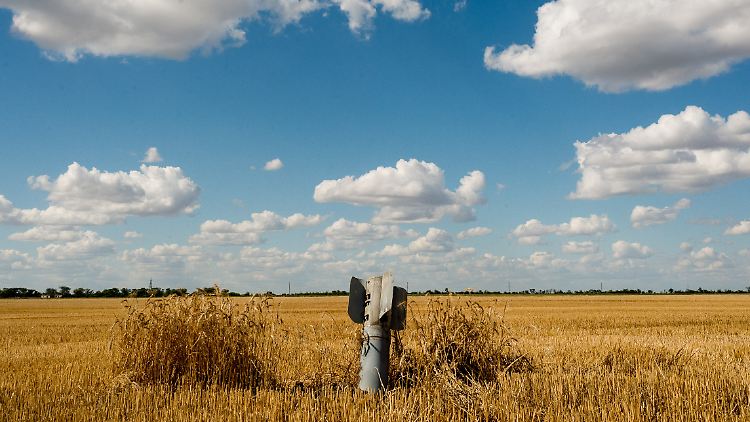 Wegen des Krieges sank der Getreideanbau in der Ukraine ohnehin. Nun beschlagnahmen die russischen Besatzer offenbar auch noch systematisch die Ernte ukrainischer Bauern.