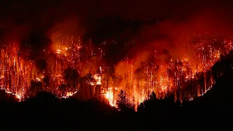 Bildschirmfoto 2022-08-27 um 12.12.22.png