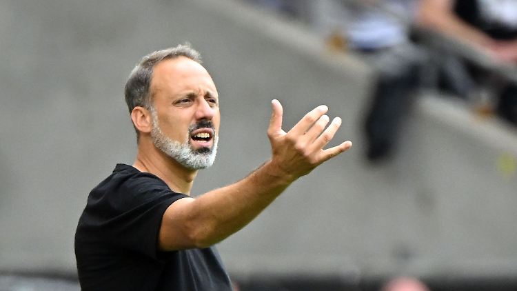 Pellegrino Matarazzo kehrt wohl in die Fußball-Bundesliga zurück.