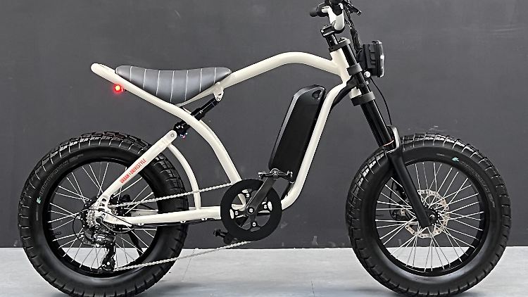 Mofa oder Fahrrad? Das Uni Viper von Urban Drivestyle will sich nicht so eindeutig festlegen lassen.
