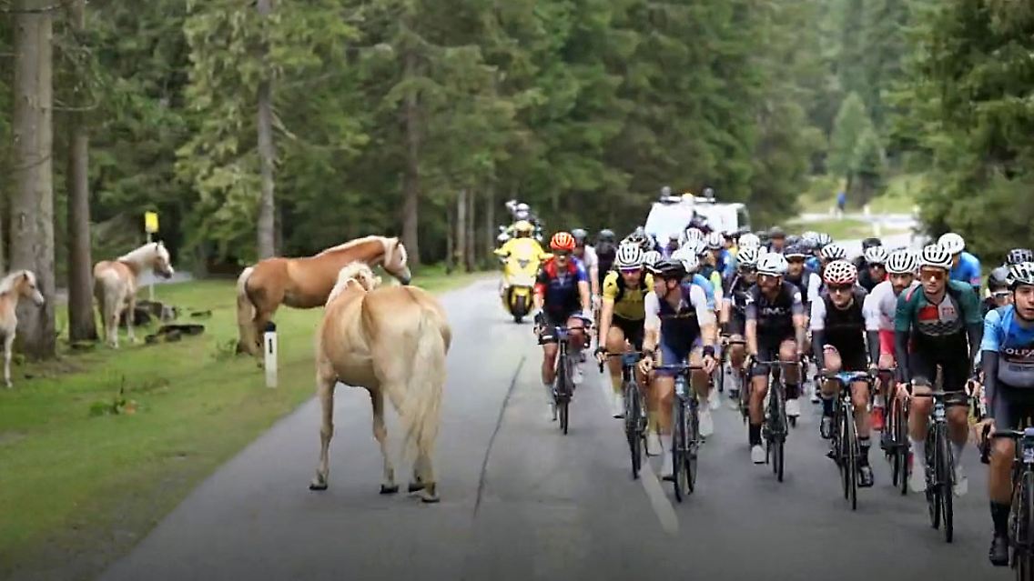 Radmarathon.jpg