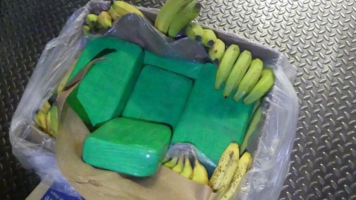 Falsche Lieferung: Der Obsthändler aus Brandenburg wollte eigentlich nur Bananen ankaufen und keine 660 Kilogramm Kokain.