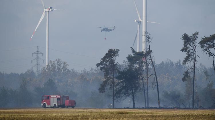 Immer wieder brannten auch in diesem Sommer Wälder in Deutschland.