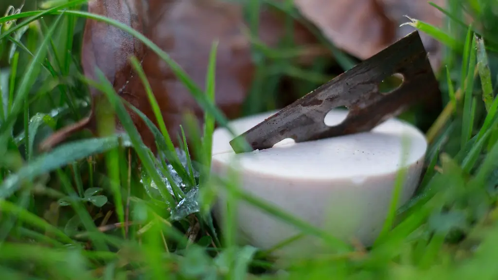Ein-mit-einer-Rasierklinge-praepariertes-Stueck-Fleischwurst-liegt-fuer-Uebungszwecke-in-einem-Garten