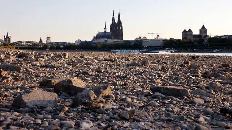 Der Sommer 2022 zählt nach vorläufigen Berechnungen des Deutschen Wetterdienstes zu den vier wärmsten und den sechs trockensten seit Beginn der Aufzeichnungen.