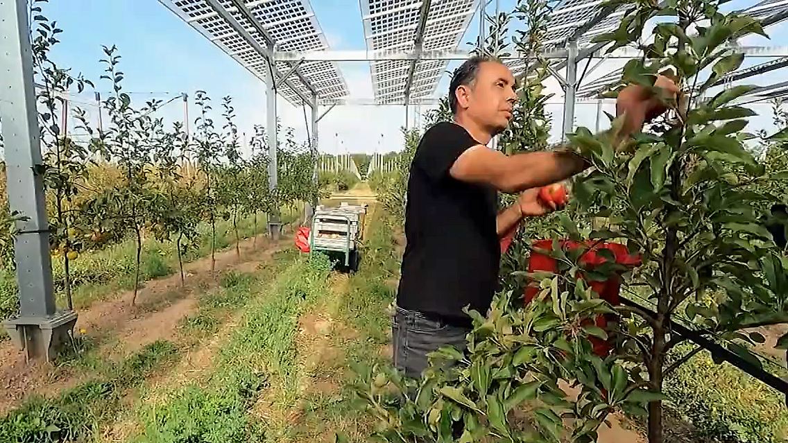 solar.jpg