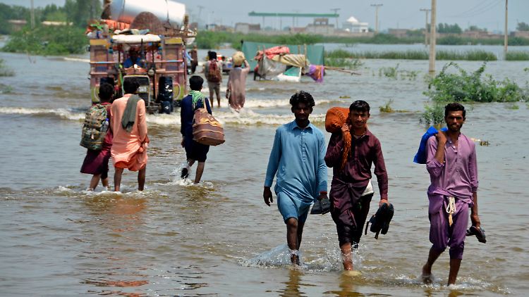 Seit mehreren Wochen kämpft Pakistan gegen die stärksten Regenfälle seit über 30 Jahren.